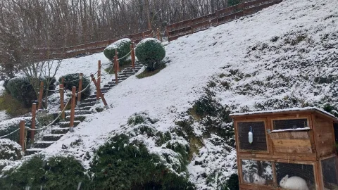 A feljáró és a nyuszik télen